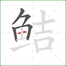 鲒的笔顺第5画：横
