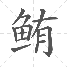 鲔的部首 鲔的部首