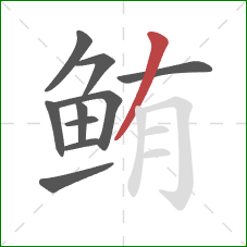鲔的笔顺第10画:撇 鲔的笔顺第10画:撇