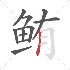 鲔的笔顺第11画:竖 鲔的笔顺第11画:竖