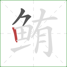 鲔的笔顺第3画:竖 鲔的笔顺第3画:竖