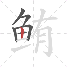 鲔的笔顺第6画:竖 鲔的笔顺第6画:竖