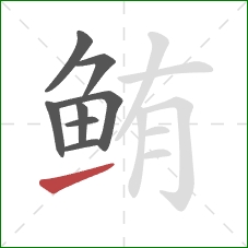 鲔的笔顺第8画:提 鲔的笔顺第8画:提