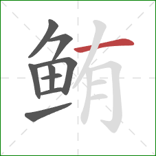 鲔的笔顺第9画:横 鲔的笔顺第9画:横