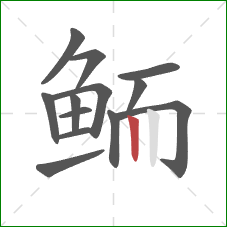 鲕的笔顺第13画：竖
