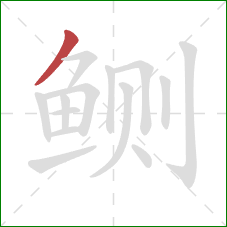 鲗的笔顺第1画:撇 鲗的笔顺第1画:撇