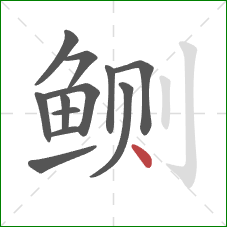鲗的笔顺第12画:点 鲗的笔顺第12画:点