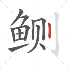 鲗的笔顺第13画:竖 鲗的笔顺第13画:竖
