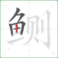 鲗的笔顺第6画:竖 鲗的笔顺第6画:竖