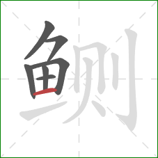 鲗的笔顺第7画:横 鲗的笔顺第7画:横