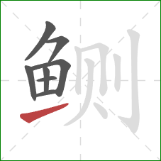 鲗的笔顺第8画:提 鲗的笔顺第8画:提