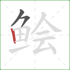 鲙的笔顺第3画：竖