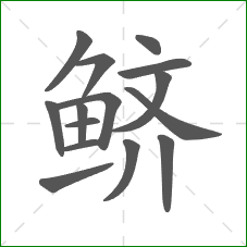 鲚的部首 鲚的部首