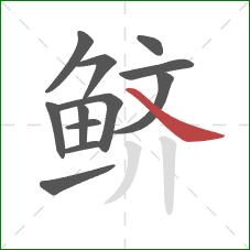 鲚的笔顺第12画:捺 鲚的笔顺第12画:捺