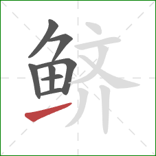鲚的笔顺第8画:提 鲚的笔顺第8画:提