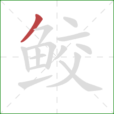 鲛的笔顺第1画:撇 鲛的笔顺第1画:撇