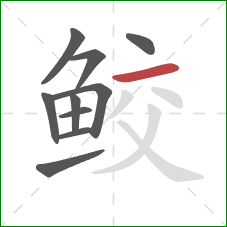 鲛的笔顺第10画:横 鲛的笔顺第10画:横