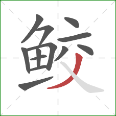 鲛的笔顺第13画:撇 鲛的笔顺第13画:撇