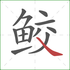 鲛的笔顺第14画:捺 鲛的笔顺第14画:捺