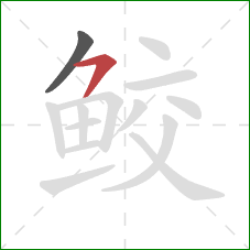 鲛的笔顺第2画:横撇 鲛的笔顺第2画:横撇