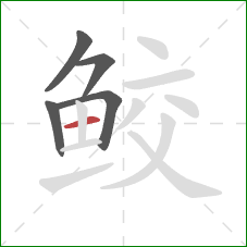 鲛的笔顺第5画:横 鲛的笔顺第5画:横