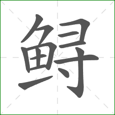 鲟的部首 鲟的部首