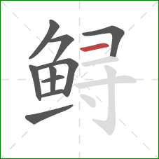 鲟的笔顺第10画:横 鲟的笔顺第10画:横