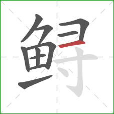 鲟的笔顺第11画:横 鲟的笔顺第11画:横