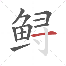 鲟的笔顺第12画:横 鲟的笔顺第12画:横