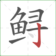 鲟的笔顺第13画:竖钩 鲟的笔顺第13画:竖钩