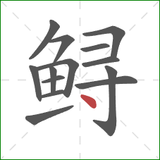 鲟的笔顺第14画:点 鲟的笔顺第14画:点