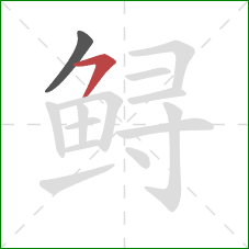 鲟的笔顺第2画:横撇 鲟的笔顺第2画:横撇