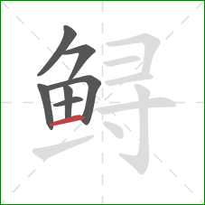 鲟的笔顺第7画:横 鲟的笔顺第7画:横