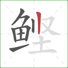 鲣的笔顺第10画：竖