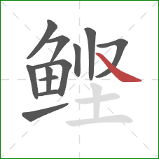 鲣的笔顺第12画：捺