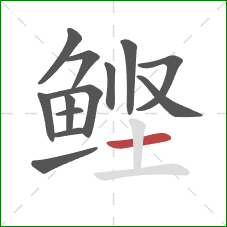 鲣的笔顺第13画：横