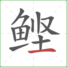 鲣的笔顺第15画：横