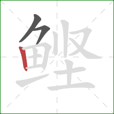 鲣的笔顺第3画：竖