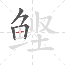 鲣的笔顺第5画：横