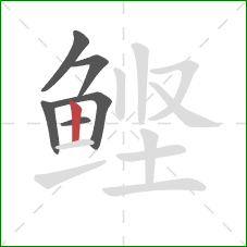 鲣的笔顺第6画：竖