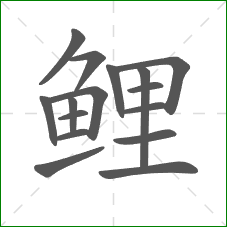 鲤的部首 鲤的部首