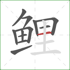 鲤的笔顺第12画:横 鲤的笔顺第12画:横