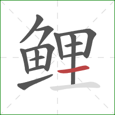 鲤的笔顺第14画:横 鲤的笔顺第14画:横