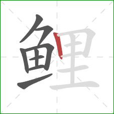 鲤的笔顺第9画:竖 鲤的笔顺第9画:竖
