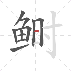 鲥的笔顺第11画：横