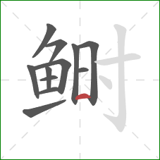 鲥的笔顺第12画：横