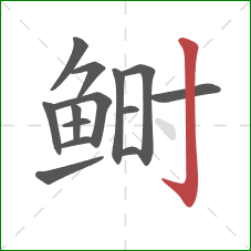 鲥的笔顺第14画：竖钩