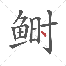 鲥的笔顺第15画：点