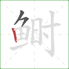 鲥的笔顺第3画：竖