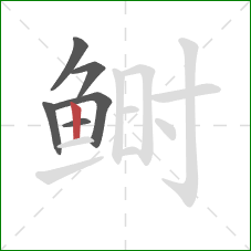 鲥的笔顺第6画：竖
